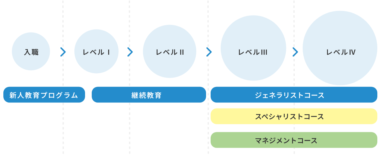 キャリアラダーの概略図